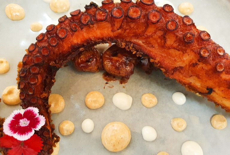 El rejo de pulpo. Dabeke. La Orotava. Tenerife. Islas Canarias. Foto: Xavier Agulló.