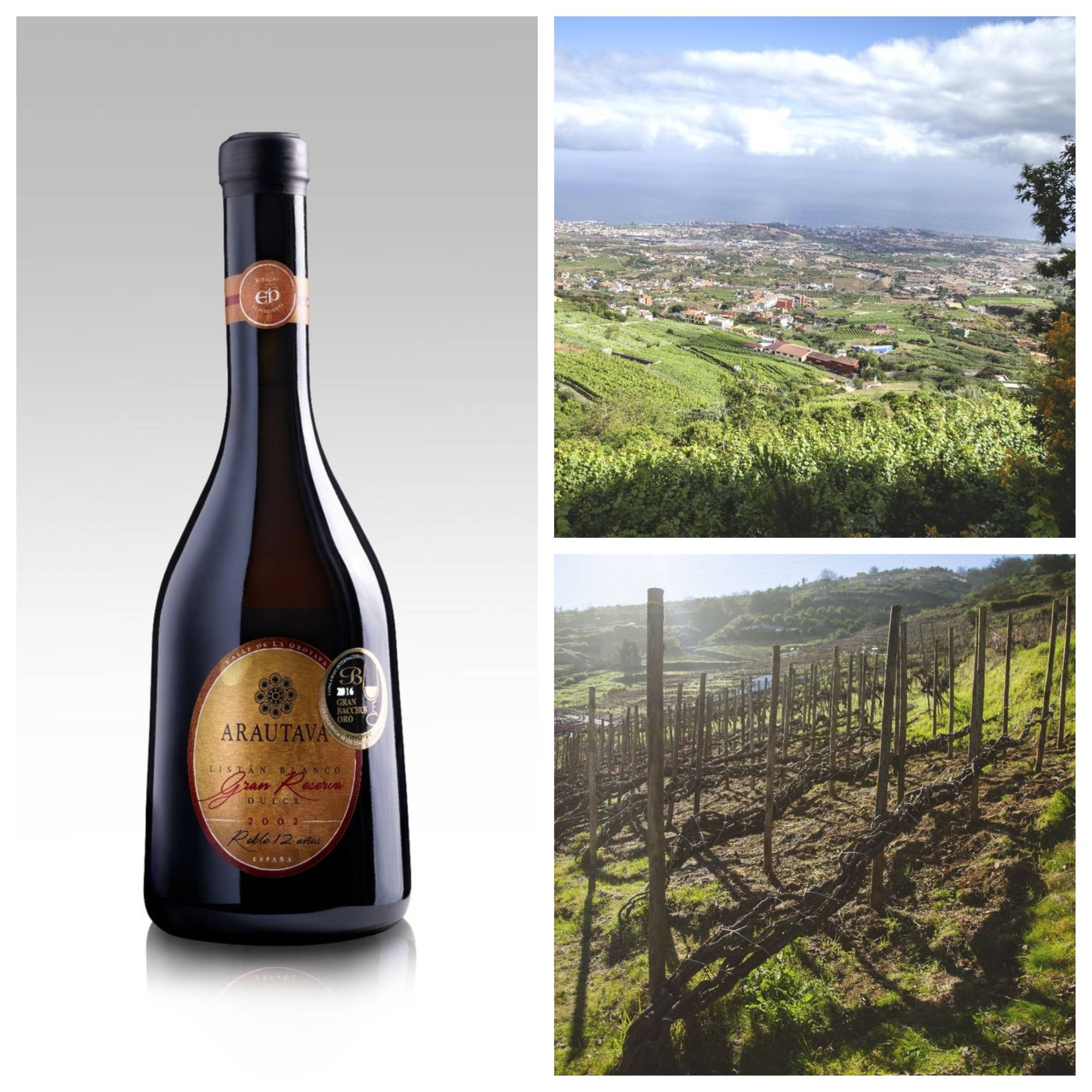 Bodegas Arautava. La Orotava. Tenerife. Islas Canarias.