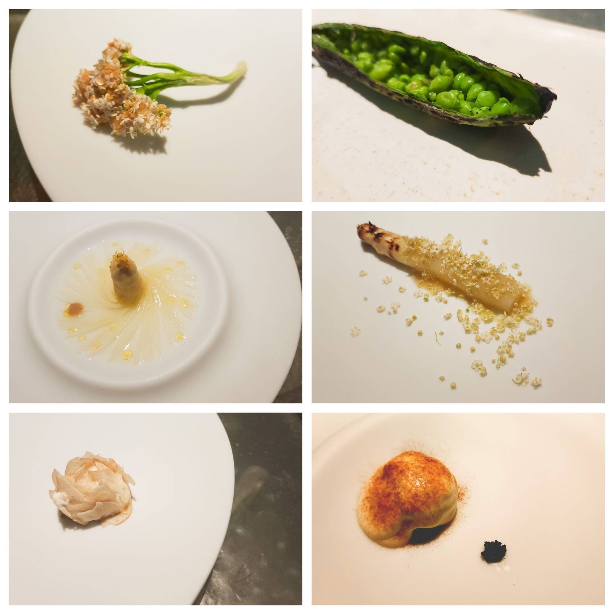 Enigma. Barcelona. Fotos: Gastrophoto_
