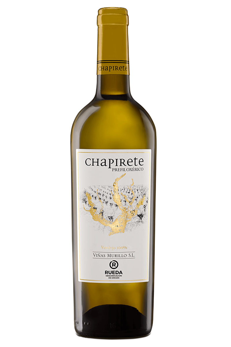 Chapinete prefiloxérico. DO Rueda.